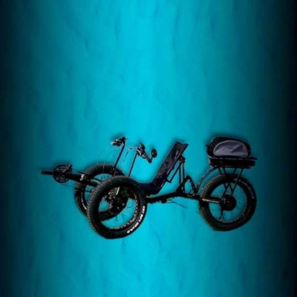 Meet your Posher, Donald - Picture 1 of 1